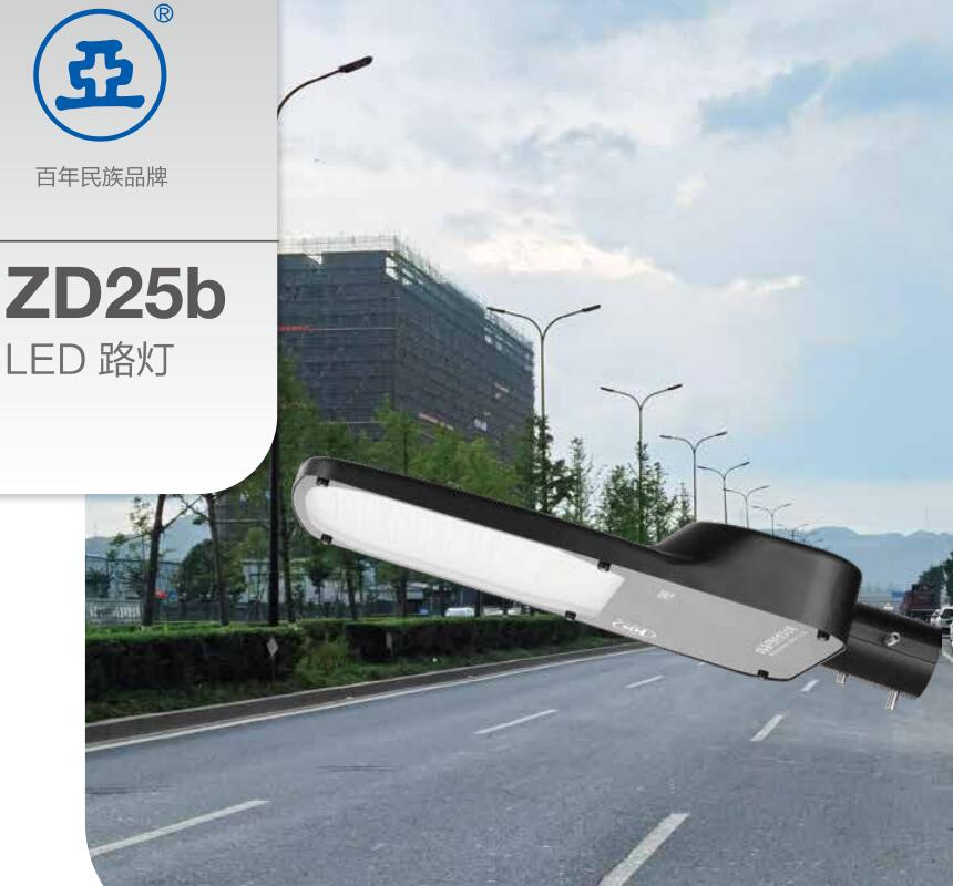 上海亚明LED路灯  亚牌ZD25b 50W 100W 150W 城市LED道路照明灯具